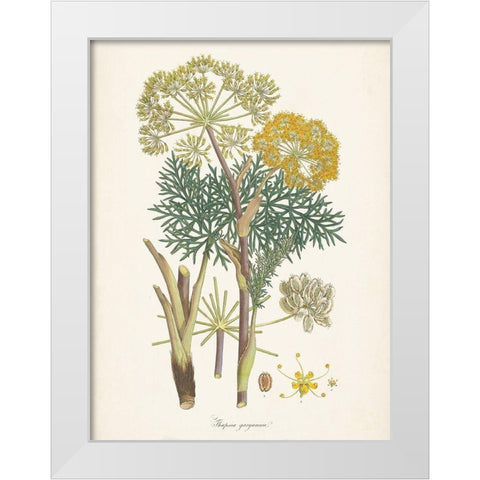 Saffron Botanicals I White Modern Wood Framed Art Print by Unknown