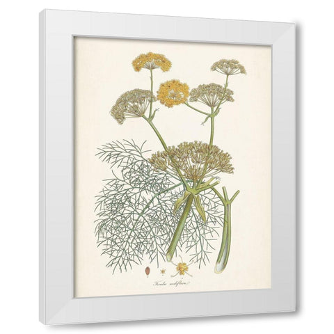 Saffron Botanicals II White Modern Wood Framed Art Print by Unknown