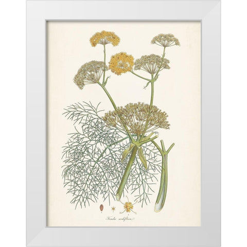 Saffron Botanicals II White Modern Wood Framed Art Print by Unknown