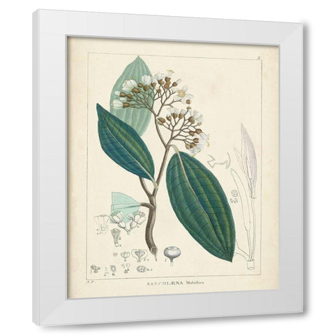 Vintage Verdure I White Modern Wood Framed Art Print by Unknown