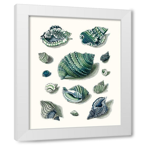 Celadon Shells II White Modern Wood Framed Art Print by Vision Studio