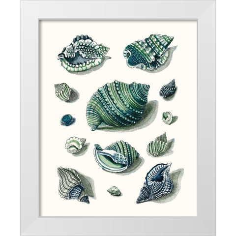 Celadon Shells II White Modern Wood Framed Art Print by Vision Studio