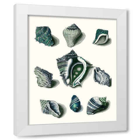 Celadon Shells IV White Modern Wood Framed Art Print by Vision Studio