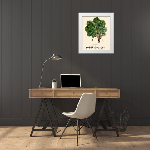 Luscious Leaves I White Modern Wood Framed Art Print by Unknown