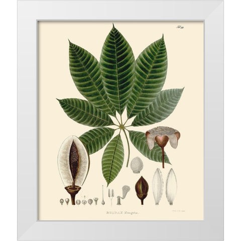 Luscious Leaves IV White Modern Wood Framed Art Print by Unknown