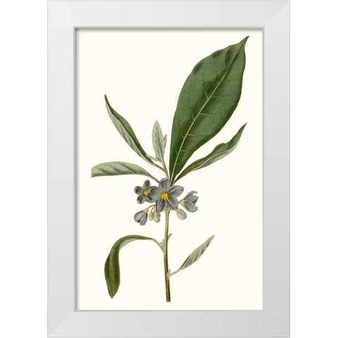 Soft Blue Botanicals II White Modern Wood Framed Art Print by Curtis
