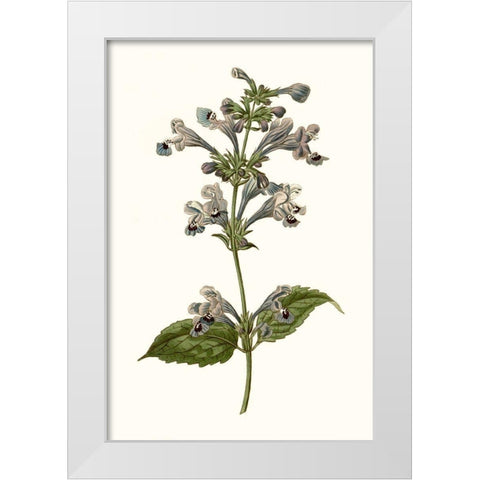 Soft Blue Botanicals III White Modern Wood Framed Art Print by Curtis