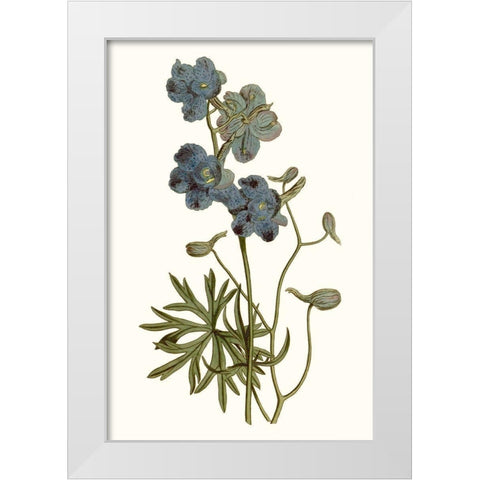Soft Blue Botanicals V White Modern Wood Framed Art Print by Curtis