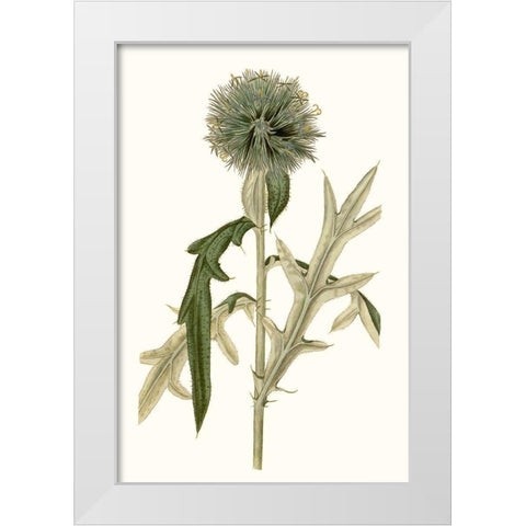Soft Blue Botanicals VI White Modern Wood Framed Art Print by Curtis
