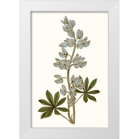 Soft Blue Botanicals VIII White Modern Wood Framed Art Print by Curtis
