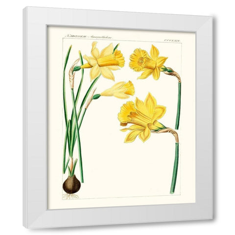 Bright Botanicals I White Modern Wood Framed Art Print by Unknown