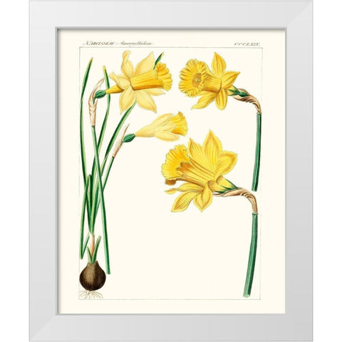 Bright Botanicals I White Modern Wood Framed Art Print by Unknown