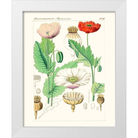 Bright Botanicals II White Modern Wood Framed Art Print by Unknown