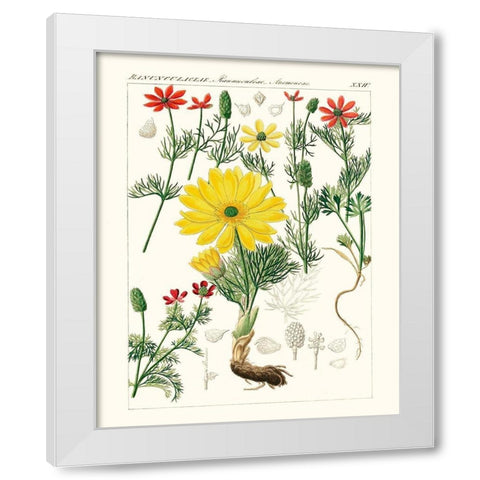 Bright Botanicals IV White Modern Wood Framed Art Print by Unknown