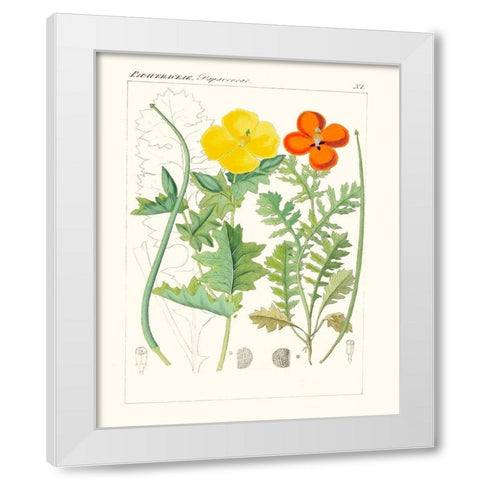 Bright Botanicals VII White Modern Wood Framed Art Print by Unknown