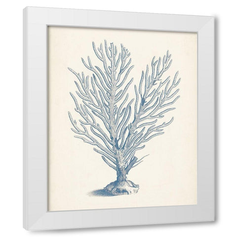 Antique Coral Collection II White Modern Wood Framed Art Print by Vision Studio