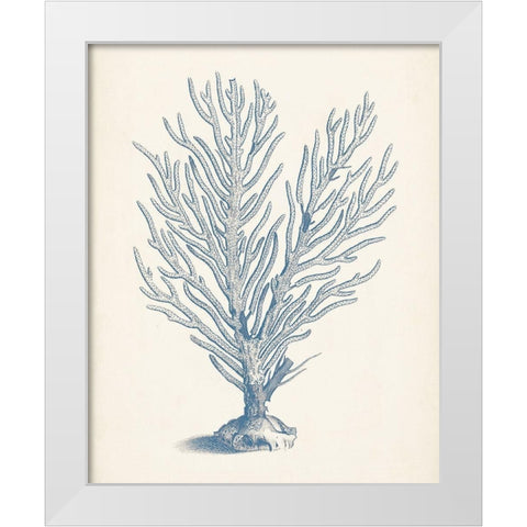 Antique Coral Collection II White Modern Wood Framed Art Print by Vision Studio