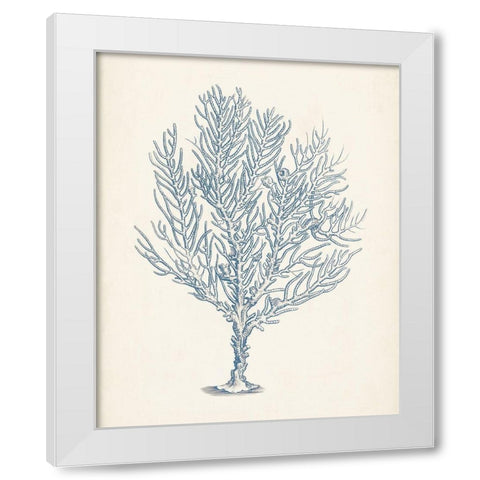 Antique Coral Collection III White Modern Wood Framed Art Print by Vision Studio