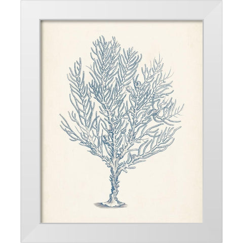 Antique Coral Collection III White Modern Wood Framed Art Print by Vision Studio