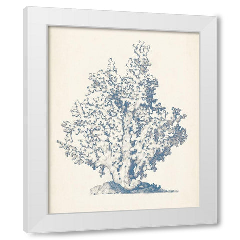 Antique Coral Collection IV White Modern Wood Framed Art Print by Vision Studio