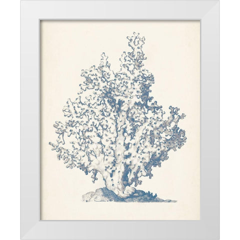 Antique Coral Collection IV White Modern Wood Framed Art Print by Vision Studio