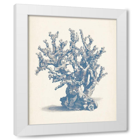 Antique Coral Collection V White Modern Wood Framed Art Print by Vision Studio