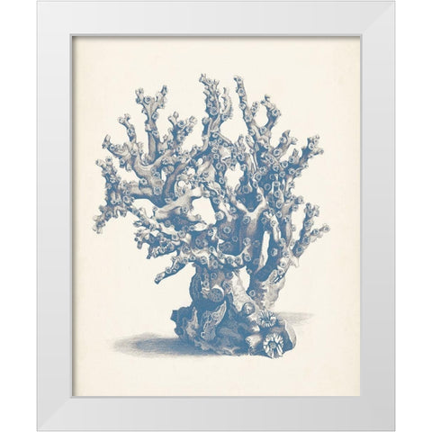 Antique Coral Collection V White Modern Wood Framed Art Print by Vision Studio