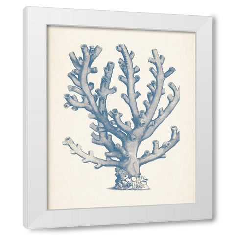 Antique Coral Collection VI White Modern Wood Framed Art Print by Vision Studio