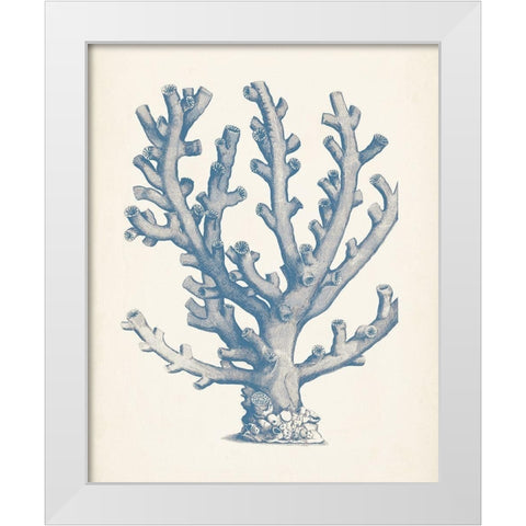 Antique Coral Collection VI White Modern Wood Framed Art Print by Vision Studio