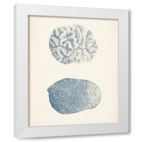 Antique Coral Collection VII White Modern Wood Framed Art Print by Vision Studio