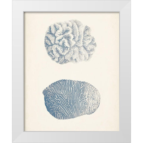 Antique Coral Collection VII White Modern Wood Framed Art Print by Vision Studio