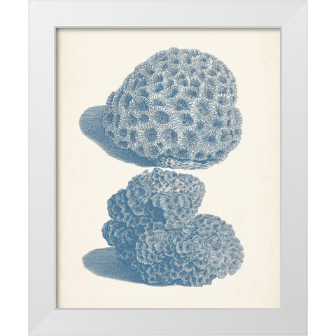 Antique Coral Collection VIII White Modern Wood Framed Art Print by Vision Studio