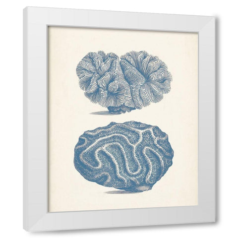 Antique Coral Collection IX White Modern Wood Framed Art Print by Vision Studio