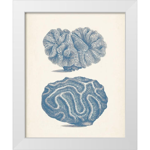 Antique Coral Collection IX White Modern Wood Framed Art Print by Vision Studio