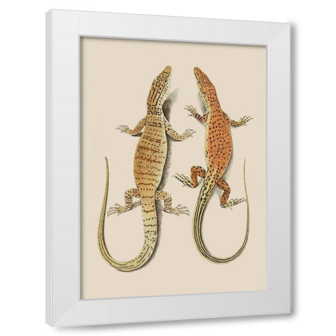 Antique Lizards I White Modern Wood Framed Art Print by Unknown