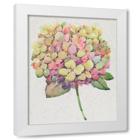 Multicolor Floral II White Modern Wood Framed Art Print by OToole, Tim