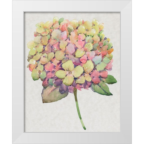 Multicolor Floral II White Modern Wood Framed Art Print by OToole, Tim