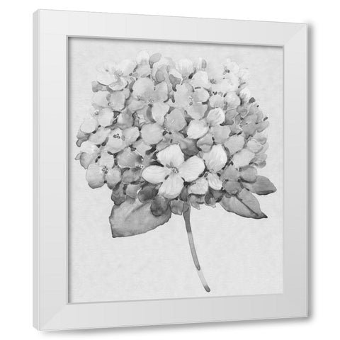 Silvertone Floral II White Modern Wood Framed Art Print by OToole, Tim