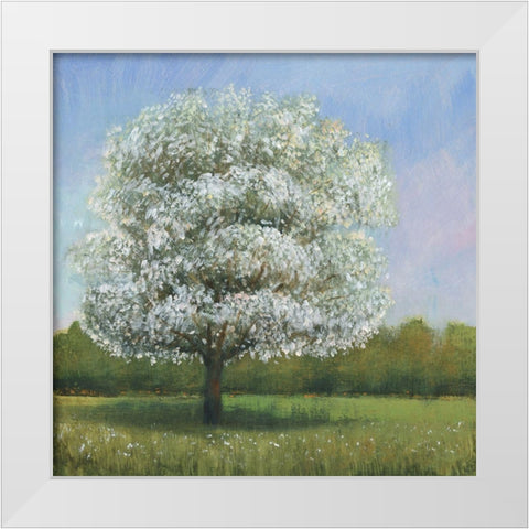 Spring Blossom Tree I White Modern Wood Framed Art Print by OToole, Tim