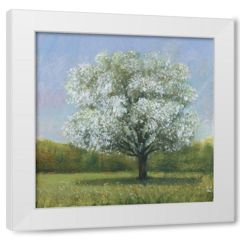 Spring Blossom Tree II White Modern Wood Framed Art Print by OToole, Tim