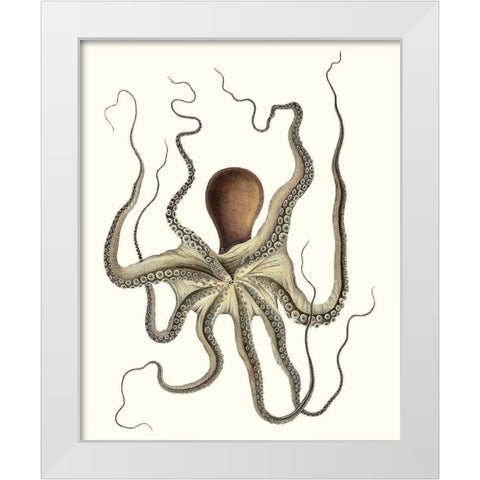 Antique Octopus Collection I White Modern Wood Framed Art Print by Unknown