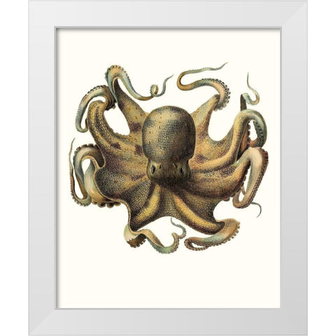 Antique Octopus Collection VII White Modern Wood Framed Art Print by Unknown