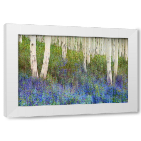 Aspen Forest Floor White Modern Wood Framed Art Print by Vest, Chris