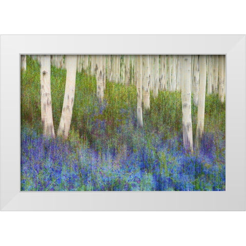 Aspen Forest Floor White Modern Wood Framed Art Print by Vest, Chris