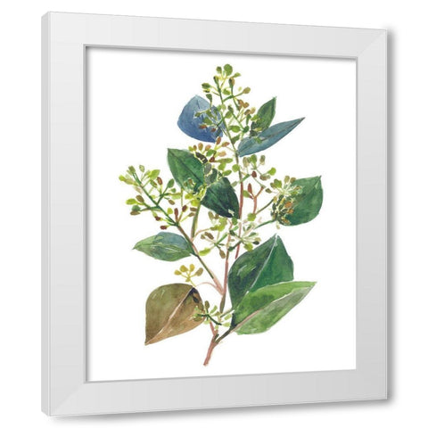 Seeded Eucalyptus II White Modern Wood Framed Art Print by Wang, Melissa