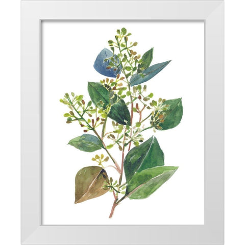 Seeded Eucalyptus II White Modern Wood Framed Art Print by Wang, Melissa