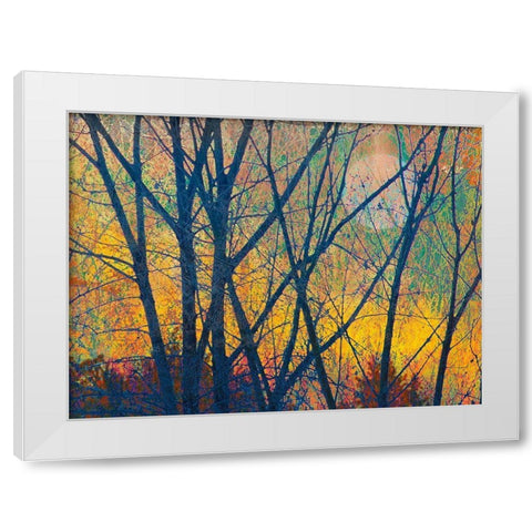 Meadow Trees I White Modern Wood Framed Art Print by Vest, Chris