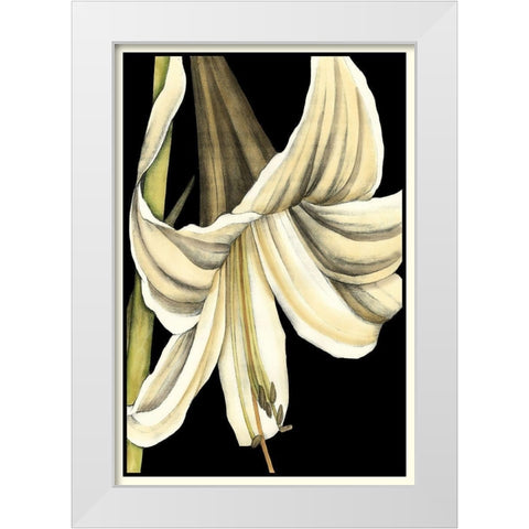 Graphic Lily IV White Modern Wood Framed Art Print by Goldberger, Jennifer