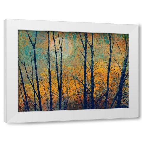 Meadow Trees II White Modern Wood Framed Art Print by Vest, Chris