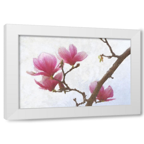 Painted Magnolias I White Modern Wood Framed Art Print by Vest, Chris